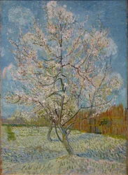 Le pêcher rose
